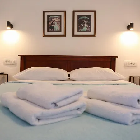 Lipotica Diklo * Zara