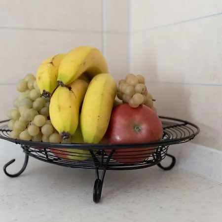 Apartament Lipotica Diklo Zadar